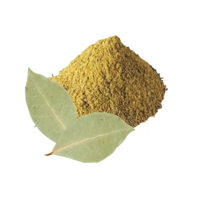 Bay Leaf Powder - Spices - NPOP - Jaipur