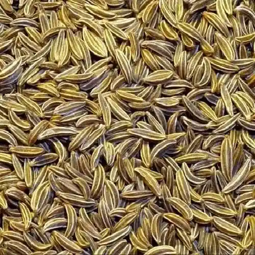 Jeera/Cumin Seeds - Spices - NPOP - Pune