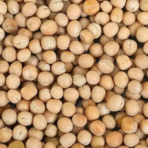 Dried White Peas  - Pulses - NPOP - Jaipur