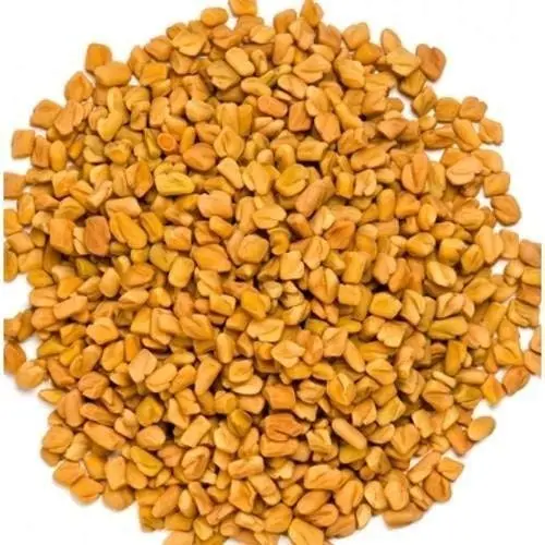 Fenugreek Seeds/Methi - Spices - NPOP - Jaipur