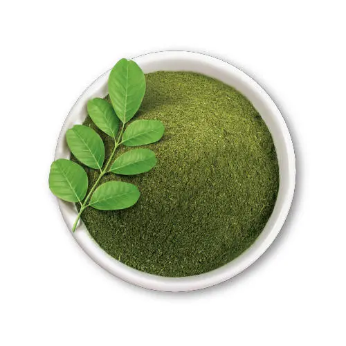 Moringa Powder  - Herbs - NPOP - Jaipur