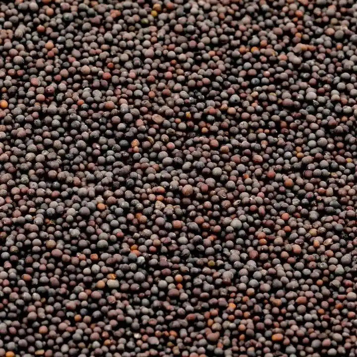 Rai/Black Mustard Seeds - Spices - NPOP - Kota