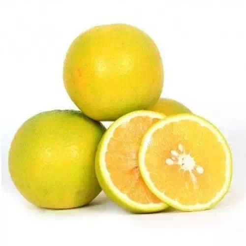 Mosambi/Sweet Lime - Fruits - NPOP - Pune